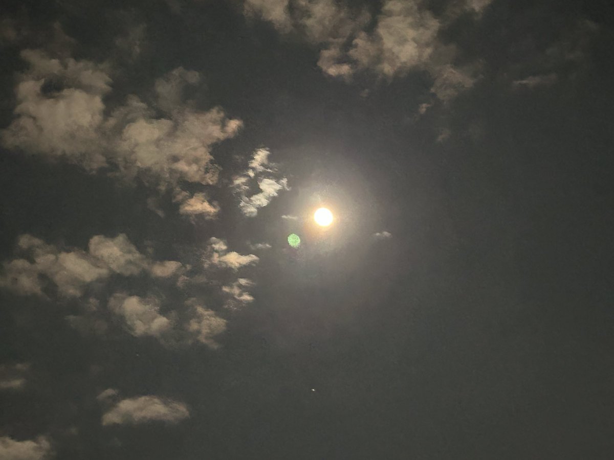 節分の夜も満月っぽい…🌕