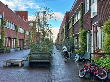 Aaron Lubeck tweet media