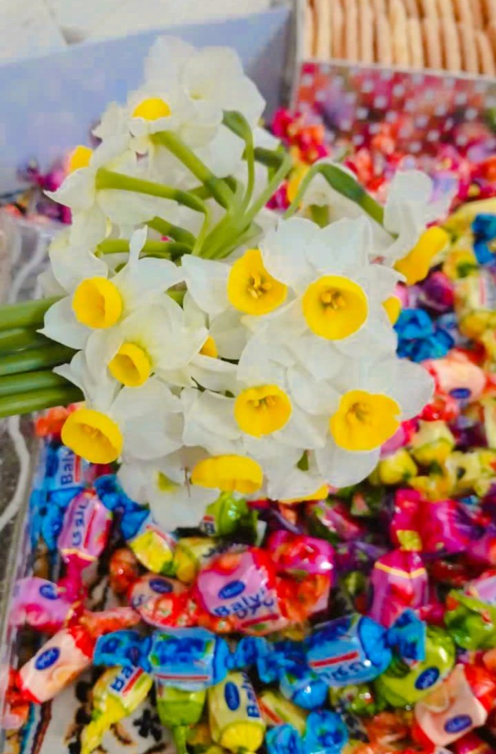 امشب نرگس‌ها هم مثل ما دل‌تنگن 🌸
نیمه‌شعبانه، یه شوق قشنگ توی هواست، یه دلتنگی آشنا 💫
عیدتون مبارک 🌹