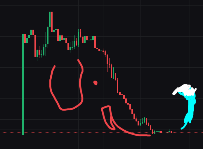 DonaldP 🏴‍☠️ tweet media