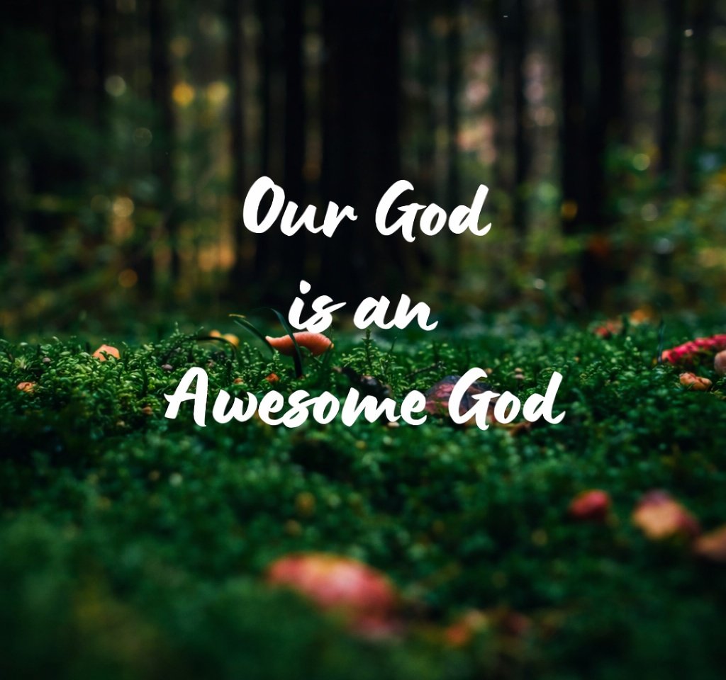 The Bible (@the__bible7) on Twitter photo 