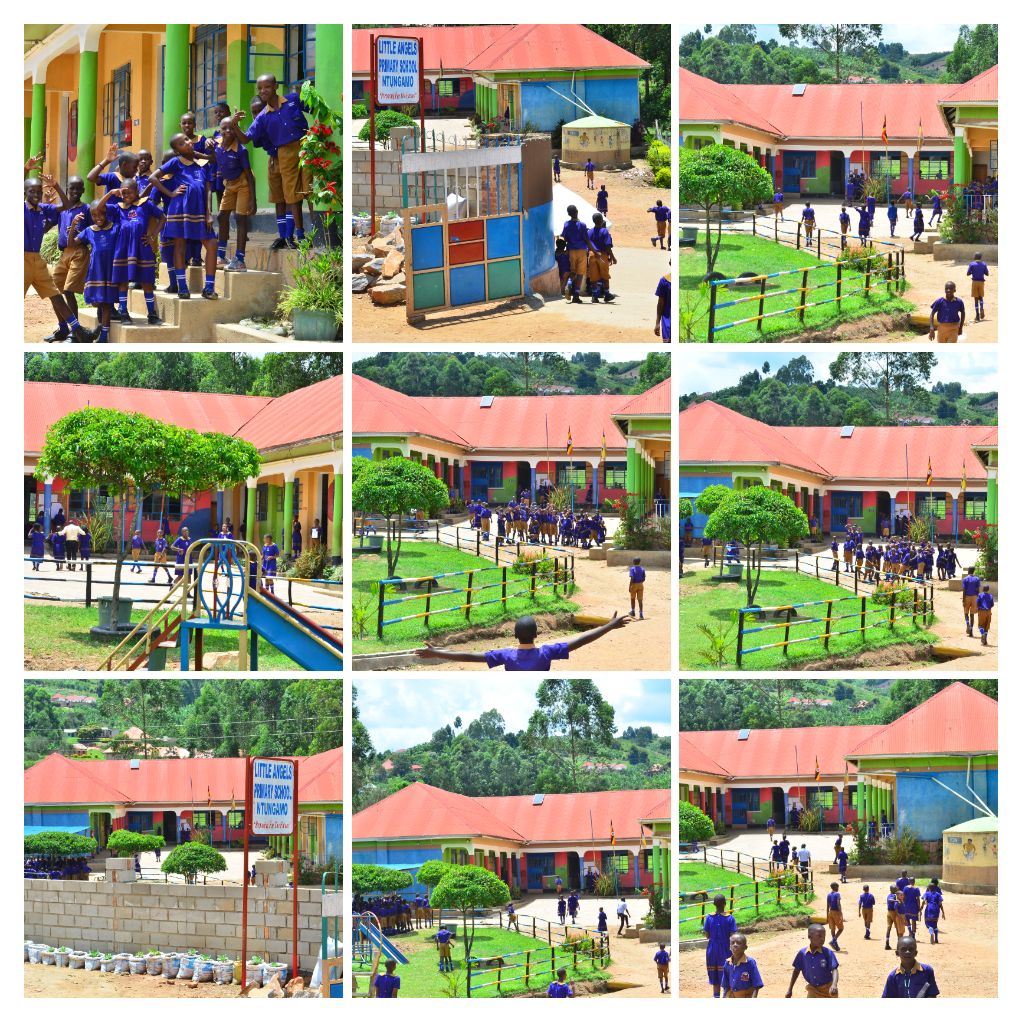 Little Angels Nursery & Primary School - Ntungamo tweet media