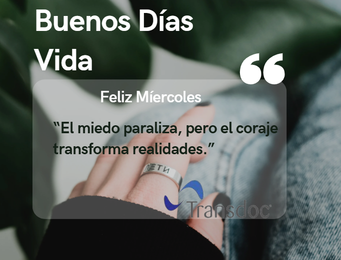 transdoctrabajos tweet media