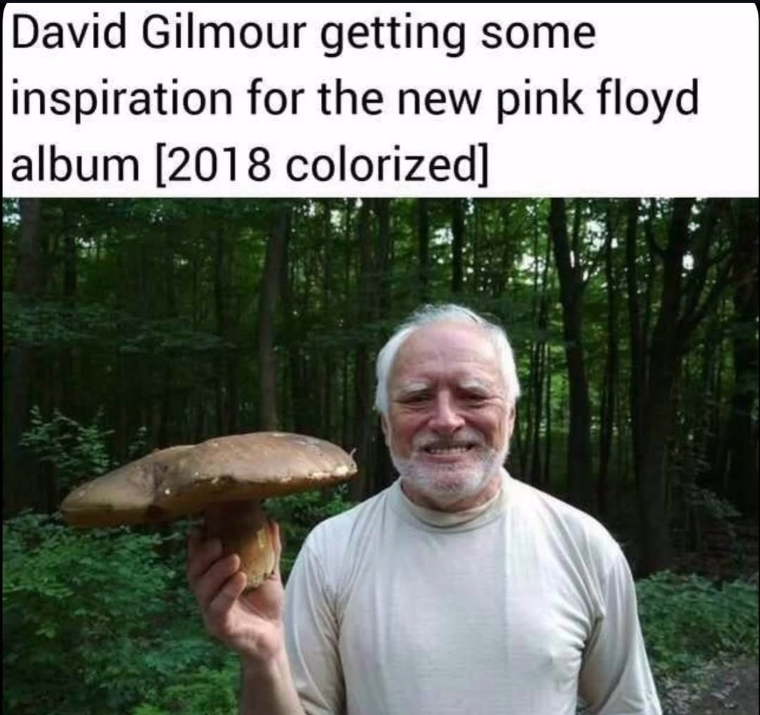 Jajajajajajajajjaja!!!!