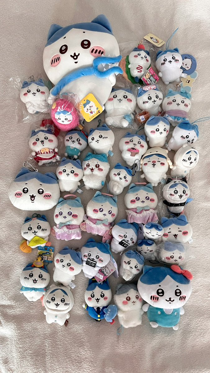 mjellystuff's tweet photo. โมมงกะะ ฮาจิ พร้อมเป็นของขวัญให้คนพิเศษในเดือน valentine ꒰⸝⸝• ｡ •⸝⸝꒱ 💝

#ตลาดนัดชิคาวะ #ตลาดนัดchiikawa #ตลาดนัดsanrio https://t.co/tiVB2yOalC