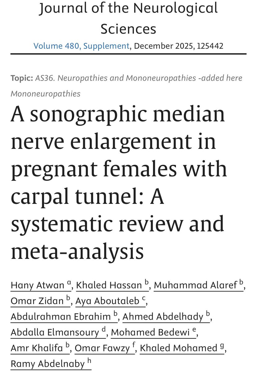 Abdullah Elmansoury tweet media