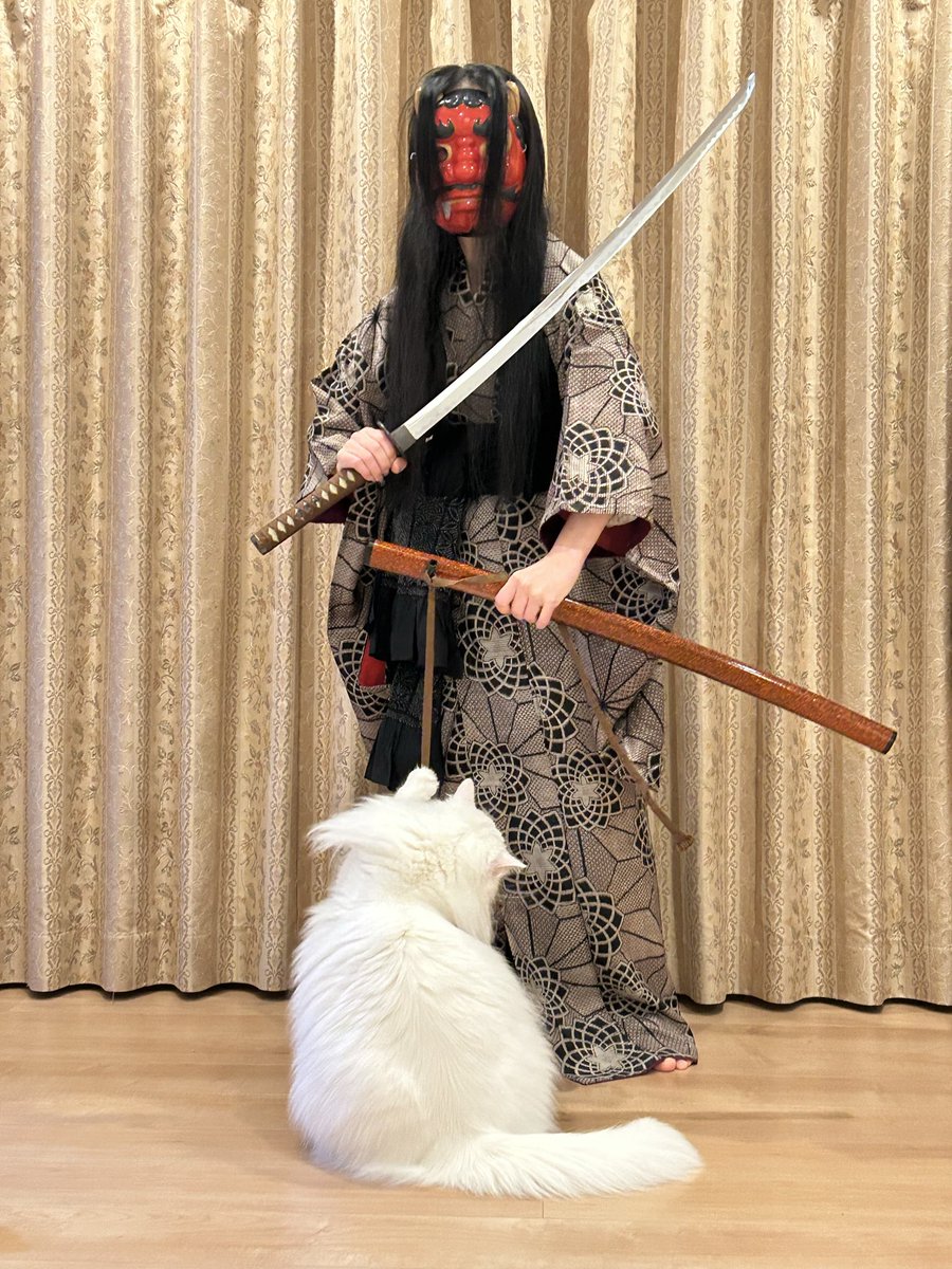 猫とおべべ tweet media