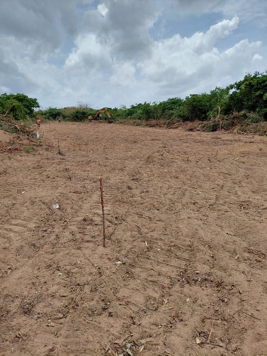 AminexPLC tweet media