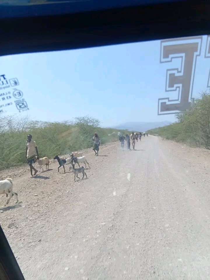 mohammed_borri's tweet photo. #ጁንታው ደገመ ⁉️

#የህወሓት ሀይሎች  በዛሬው ዕለት በዞን አራት #ያሎ ወረዳ በዚህ መልክ መሳደድ ጀምረዋል !!

አሁን ለዚህ ትርፍራፊ ያለኝ መልዕክቴ ተው አድቡ አፋሮች አሁንም ወደኋላ ማለት አያውቅም !! https://t.co/RbDA546qjB