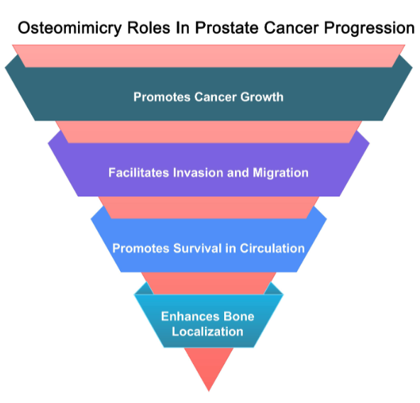 AJP-Cell Physiology tweet media