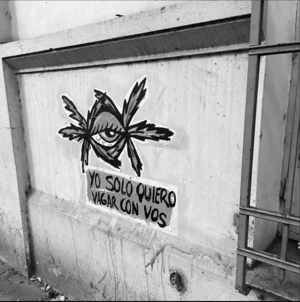 ¡ Yo solo quiero vagar con vos !