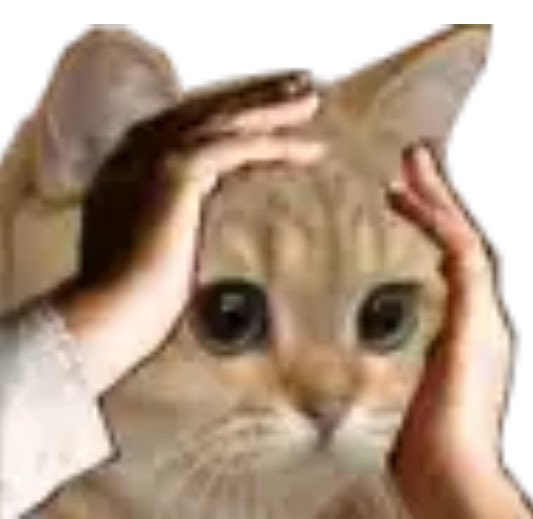 Dictator (@onchaindictator) on Twitter photo 