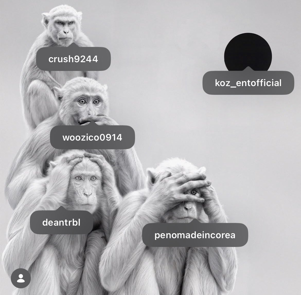 맨뒤에 진지눈빛숭이는 지코 앞에 입틀막숭이는 크러쉬라고 확신햇엇는데 대반전 ㅋㅋㅋㅋㅋㅋ