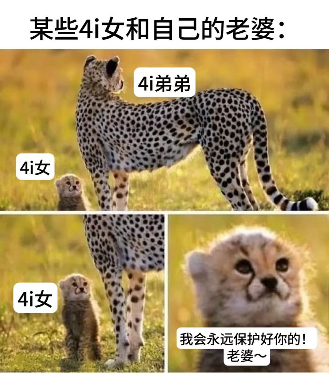 shengcai321's tweet photo. 我以前一直觉得，得事事做的更好才有资格成为一个名义上的上位

看到小狗袒露脆弱的时候，恨不得冲上去把欺负小狗的人都灭了

我一直都把自己放在保护者和给予者的位置上，对此小狗还怀疑过我是不是同性恋(其实我是双性恋）

后来小狗给我发了下面这张图，我才意识到，在很多男性的认知���，他们并不觉得自己需要被保护

再后面我也意识到，即使处在下位，很多男的依旧是野心勃勃，骨子里多少还是会有点大男子主义

最后我才明白，其实没有谁应该永远是保护者或给予者

更长久、更舒服的状态是双方彼此保护、彼此照顾

#小狗