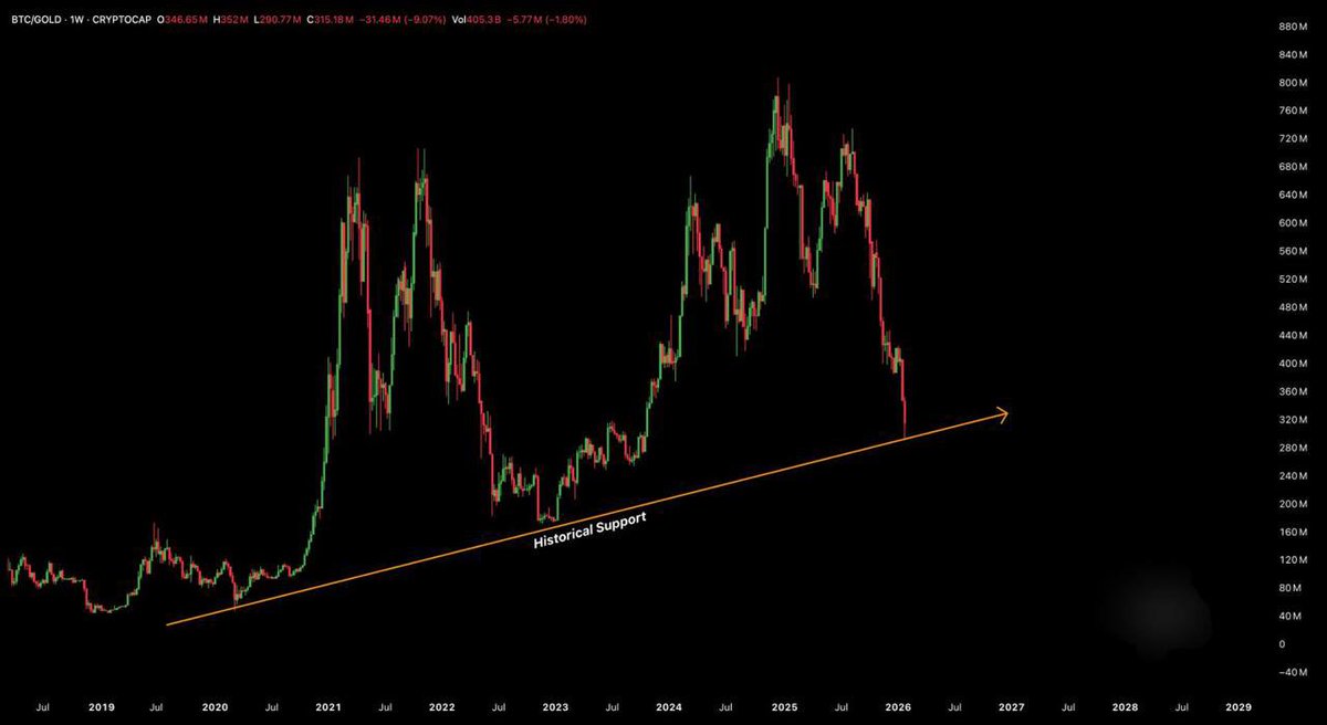 ₿ شيماء || عملات رقمية official tweet media