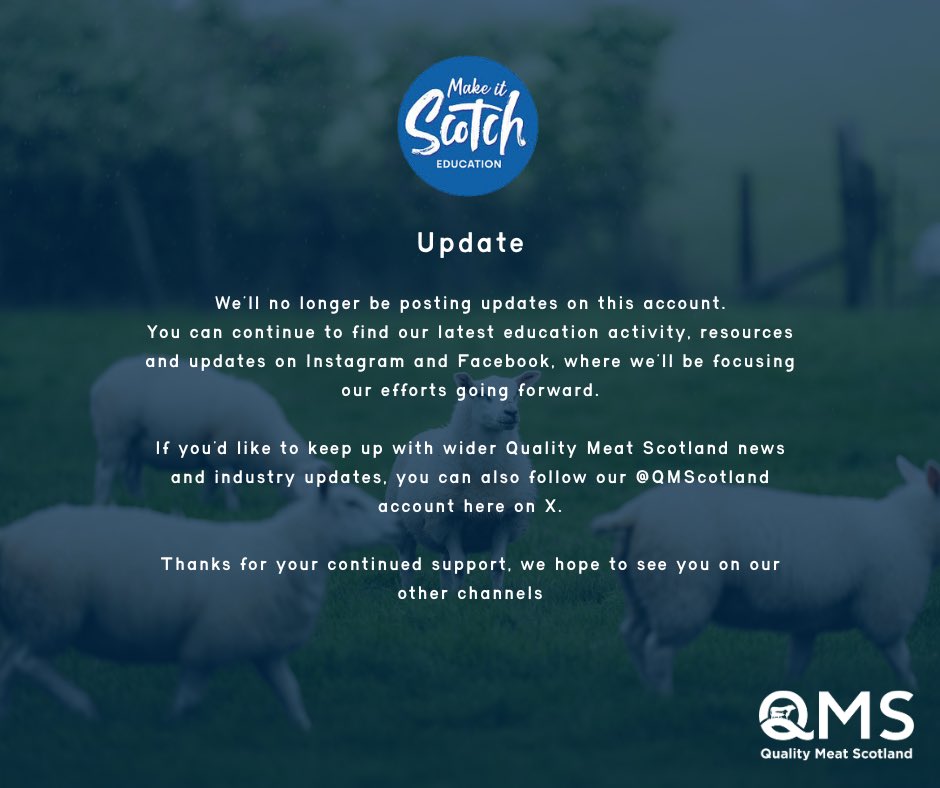 Make it Scotch Education tweet media