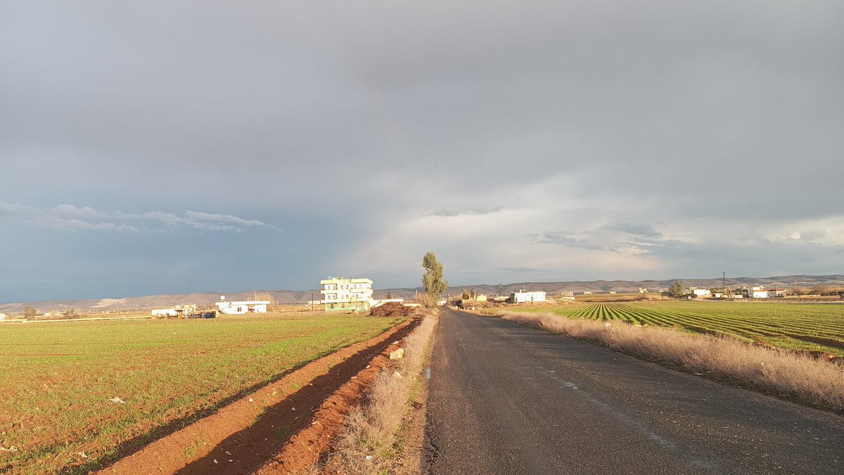 Yol uzadıkça sevgili güzelleşir,
Çirkin çıkarsa bahtınız kötüymüş napalım.