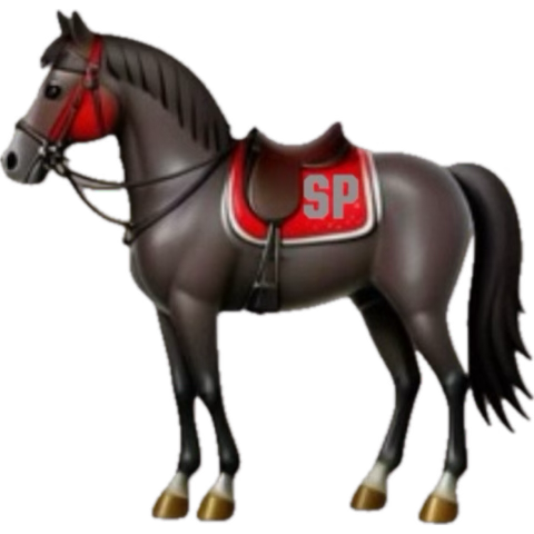 South Pointe Football tweet media