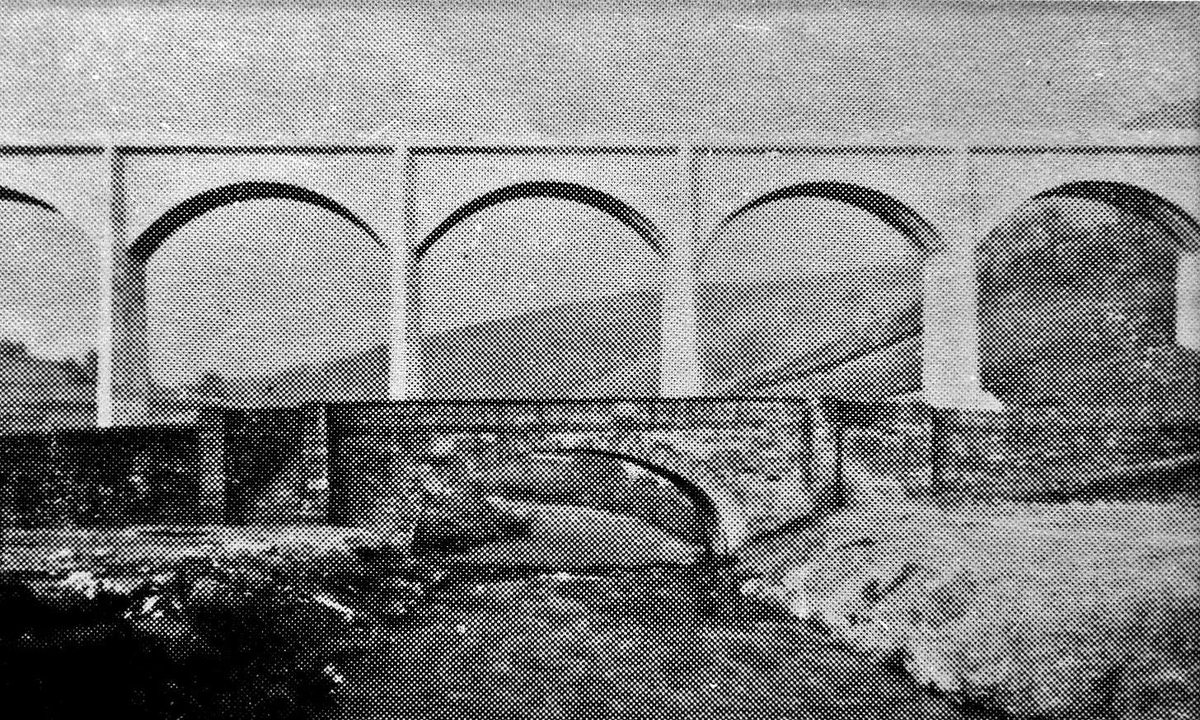 Alastair Wright tweet media