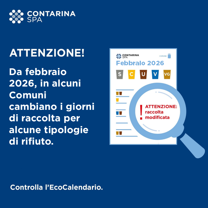 Contarina tweet media