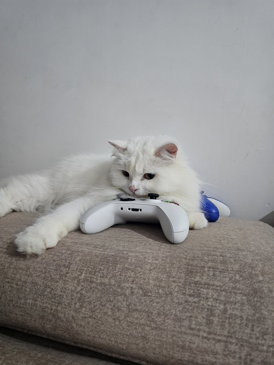 Nasir tweet media