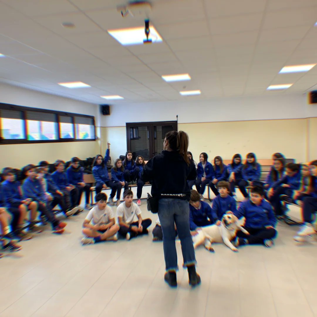 CeipFontan's tweet photo. Actividad de concienciación dirigida a 6º de primaria por parte de la Asociación @dogpoint_ong, encargada de adiestrar a perros que acompañan a niños con autismo 🦮
#ceipfontan #autismo #dogpoint https://t.co/TzOKRcZB2x