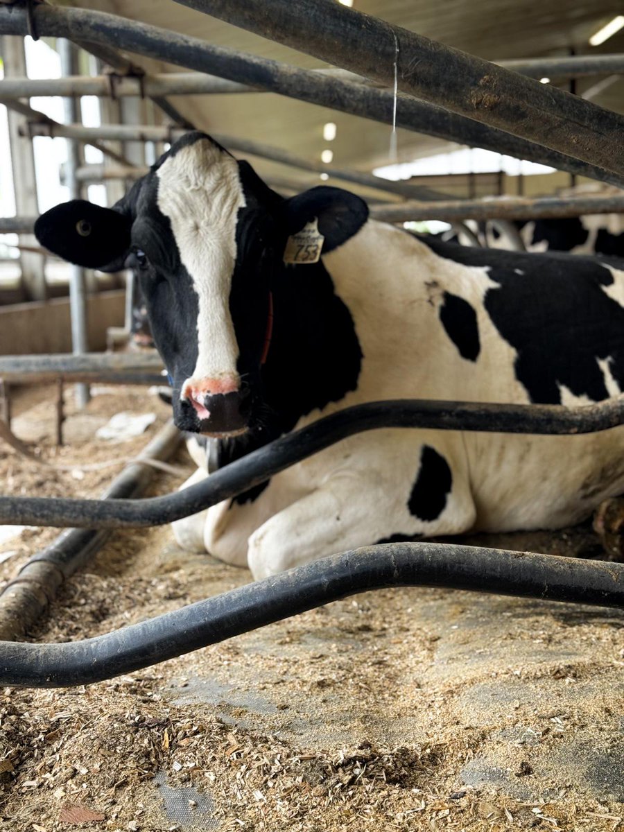 Promat Inc. tweet media