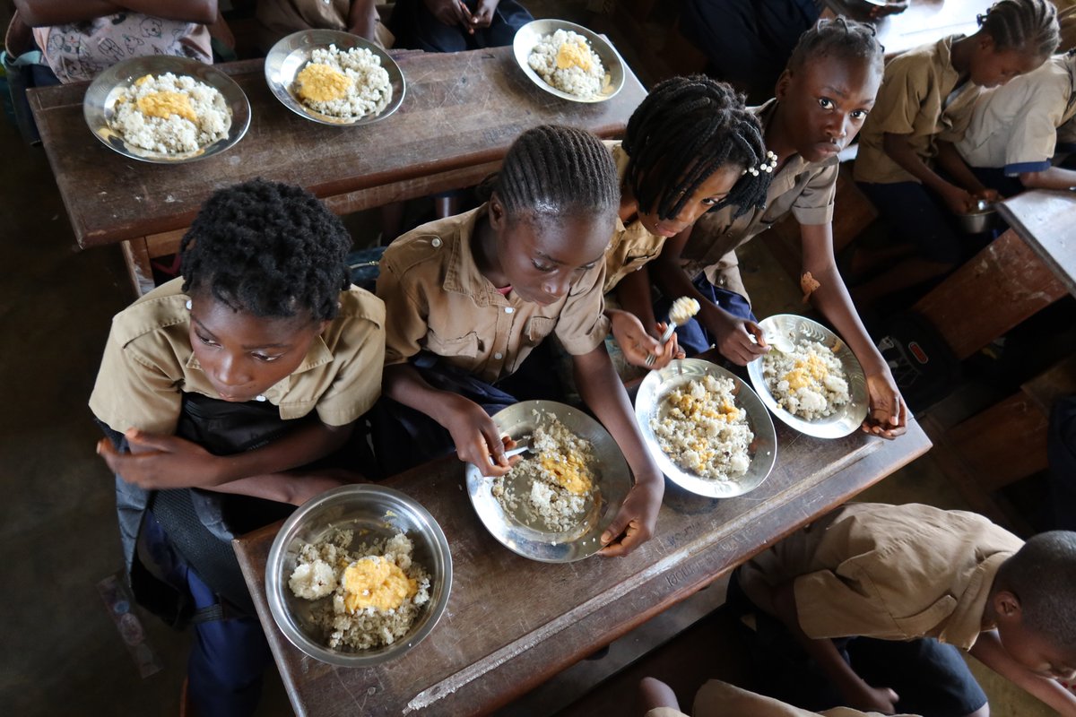 PamCongo's tweet photo. In the Republic of Congo, school feeding is more than a meal: it drives school attendance, strengthens health, and boosts learning.
Supported by the @USDA 🇺🇸 and @JapanGov 🇯🇵, this programme is a vital investment in every child’s future.
#SchoolFeeding #EducationForAll #nutrition https://t.co/ssRYVFYqRK