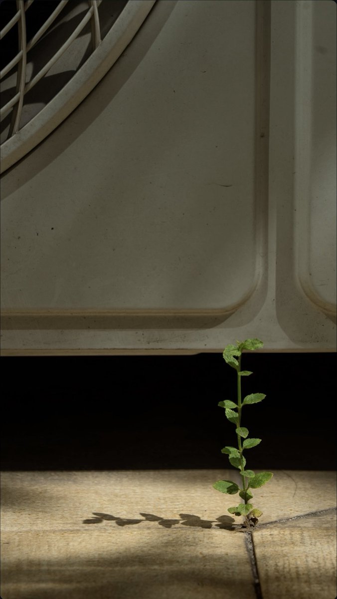 📲 | Enzo vía historias de Instagram con Mister Filmmaker - Dead Touch de fondo musical.