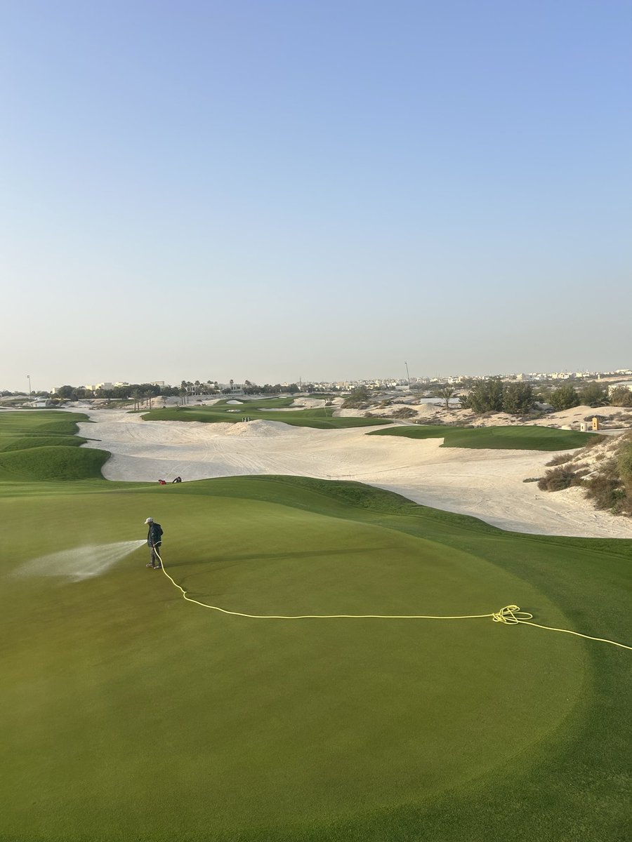 Jamie Faulkner tweet media