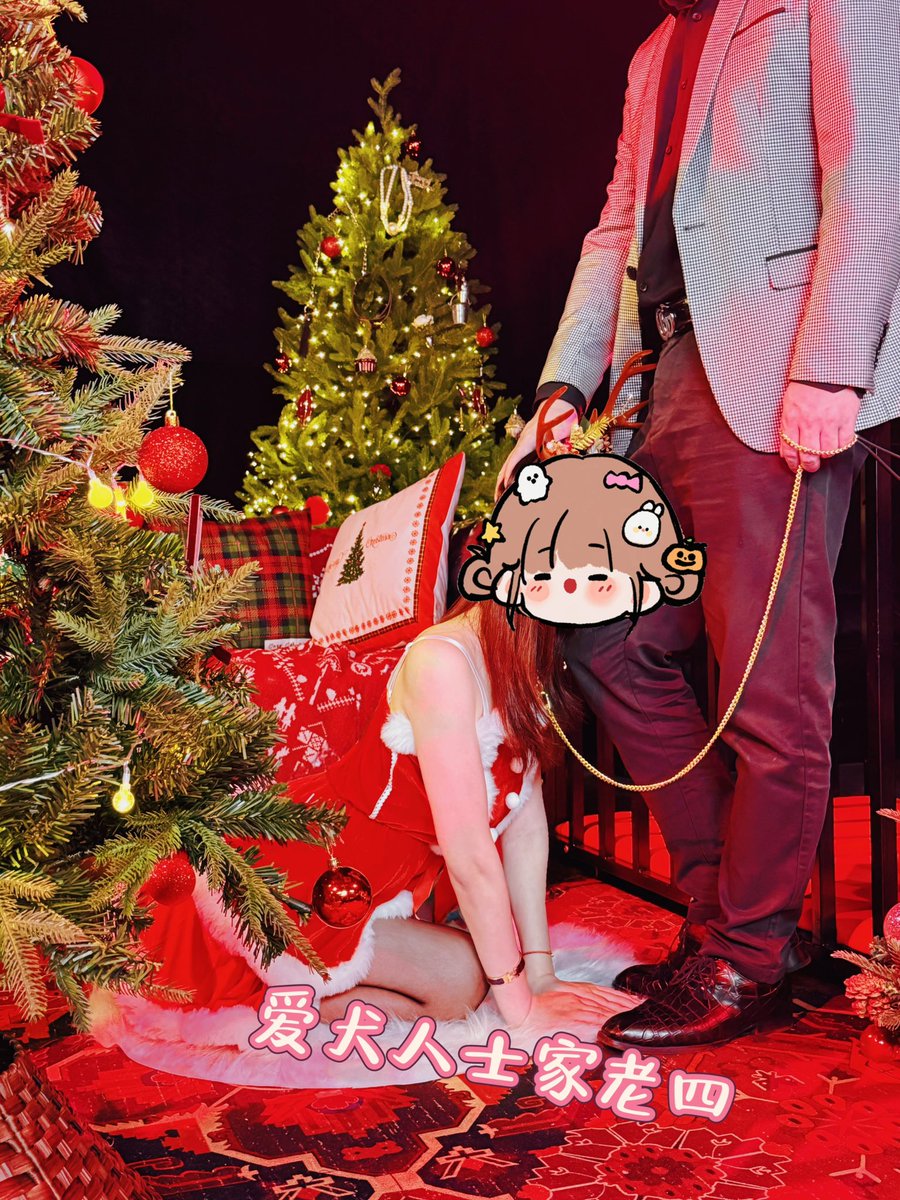 爱犬人士的小心肝 tweet media