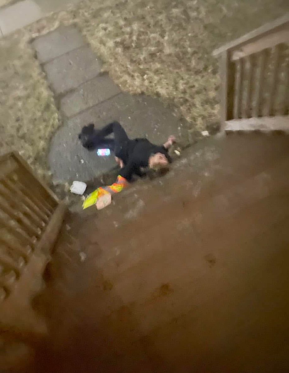 horsetwting's tweet image. the door dash driver fell with my food 😔