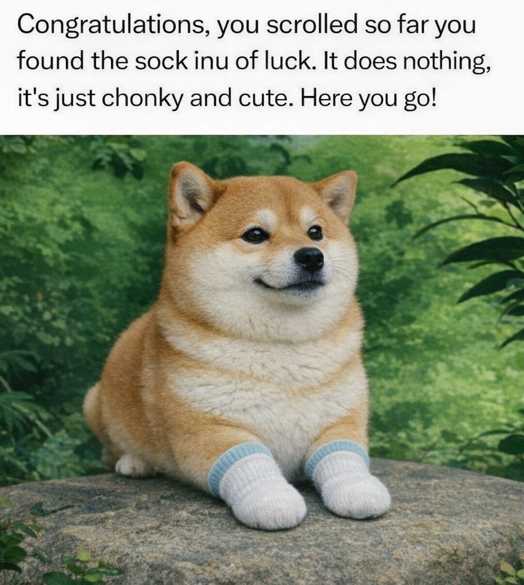Sock_Inu's tweet image. Congratulations