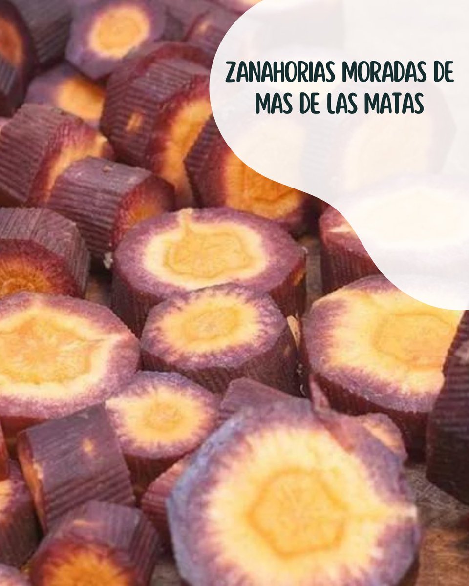 PonAragónentumesa tweet media