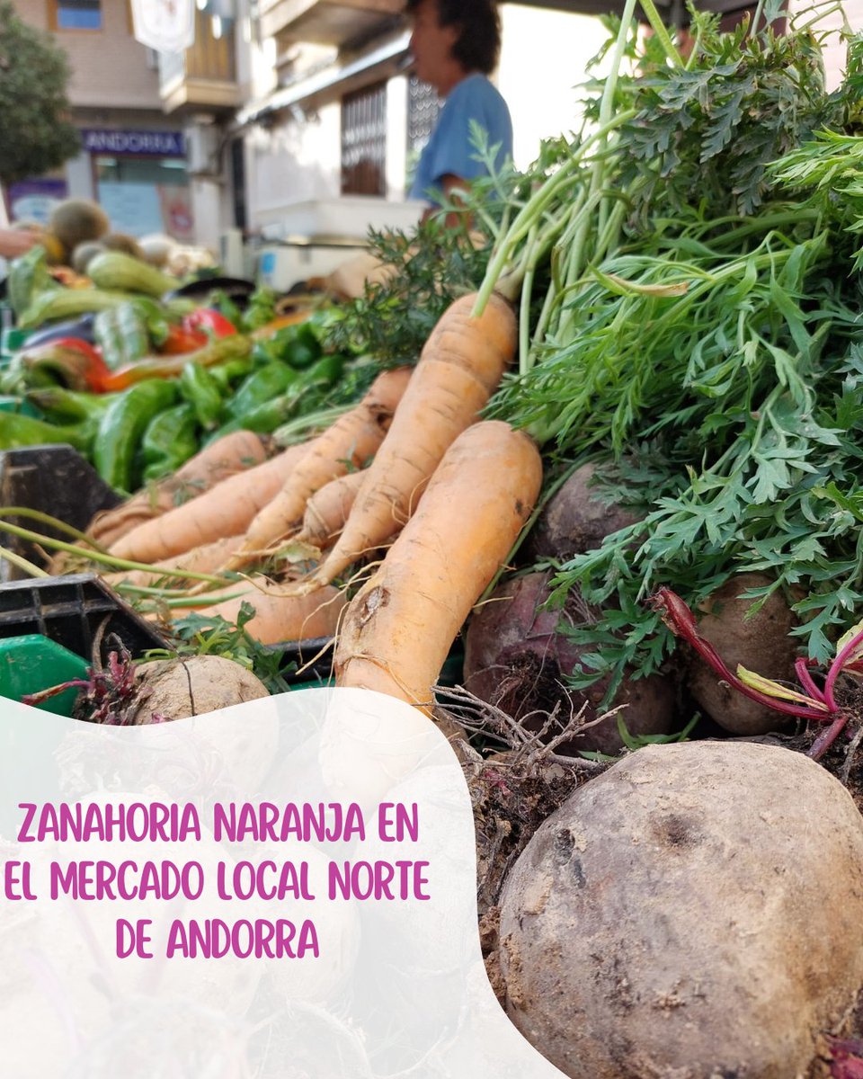 PonAragónentumesa tweet media