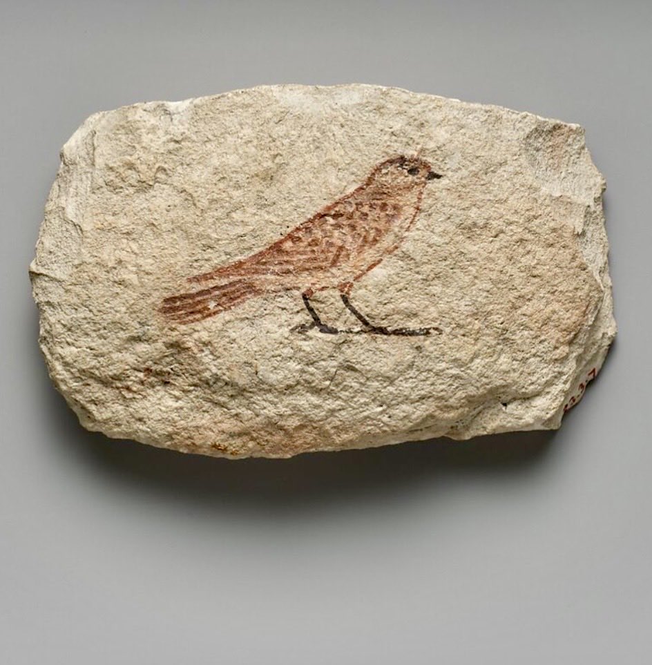 Alison Fisk tweet media