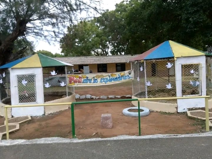 ReyesVento33372's tweet photo. Seguimos avanzando en la restauración del Campamento de exploradores de pioneros de la Isla de la Juventud #secundariabasicaijv #EducacionIsladelaJuventud 
#CubaMined https://t.co/UtTv80xxbX
