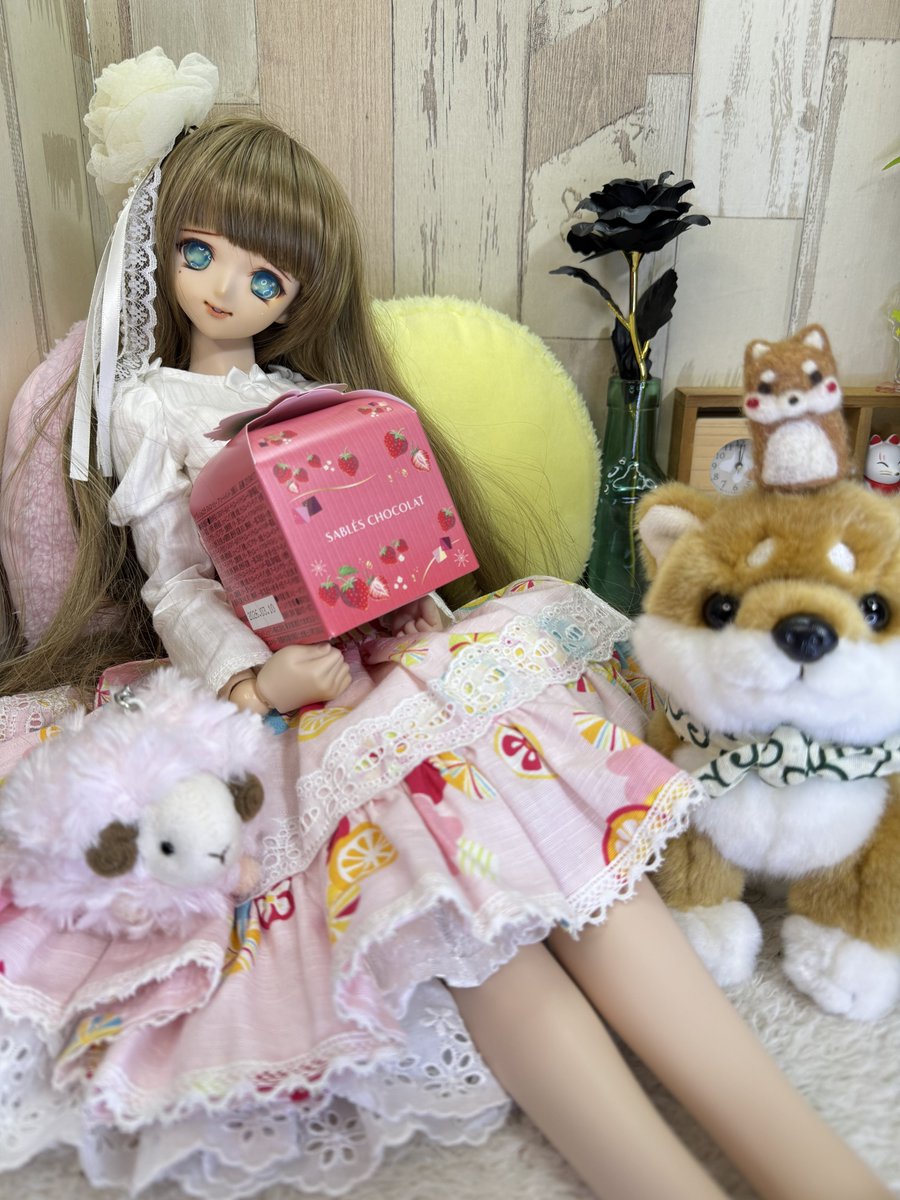 くまきち (@bearbeartyan) / Posts / X