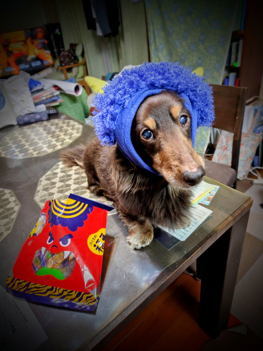 ラッキー王子 tweet media