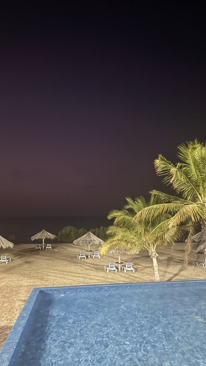 عمار كوشك tweet media