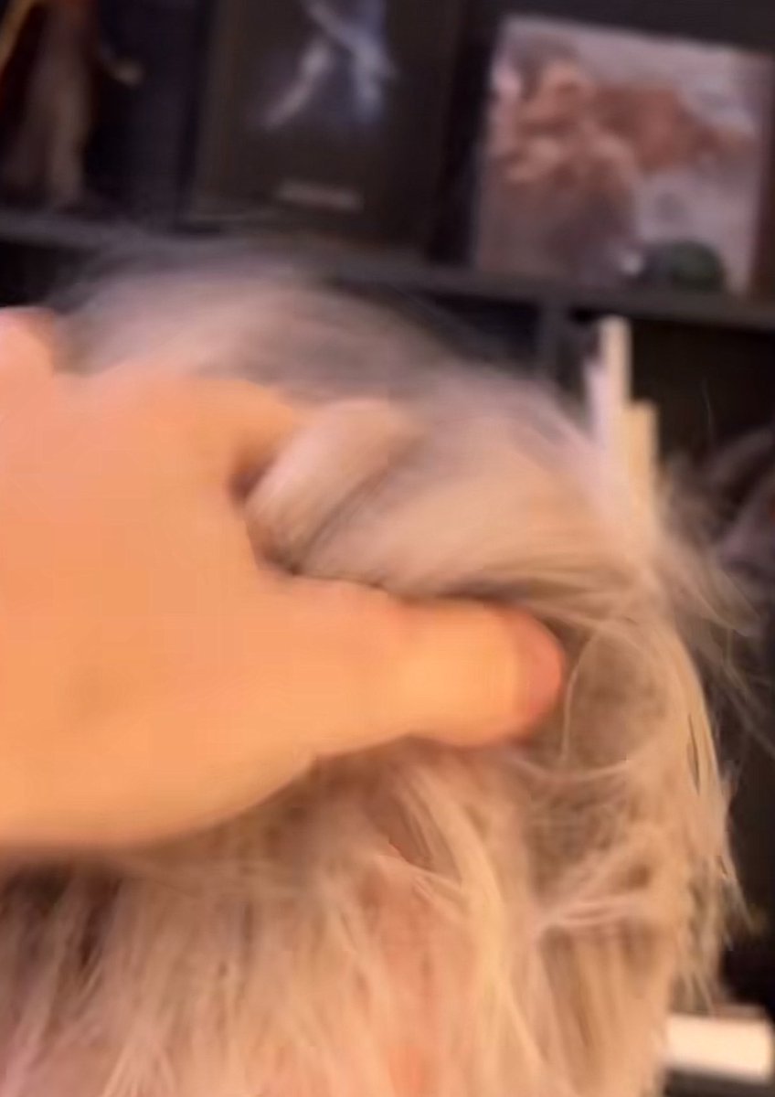 dnpclouds's tweet image. i just fucking giggled, out loud.