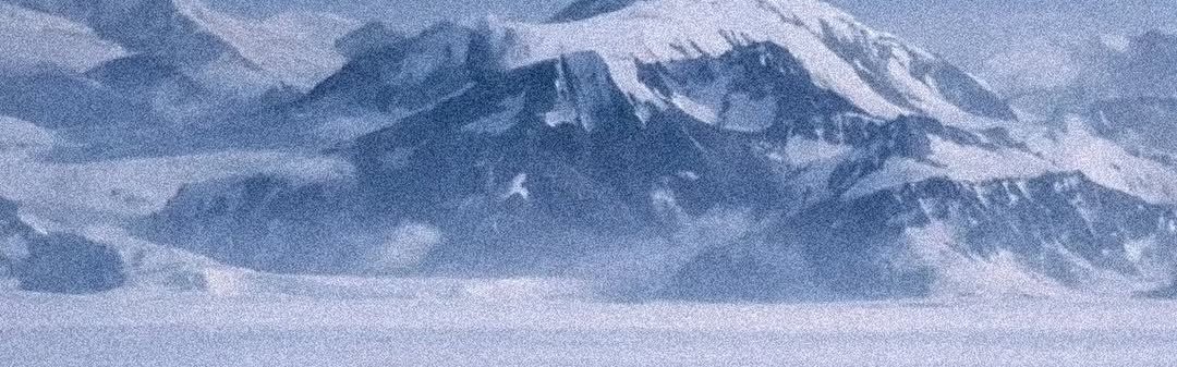 aestheticsguyy's tweet image. tap to see the full image