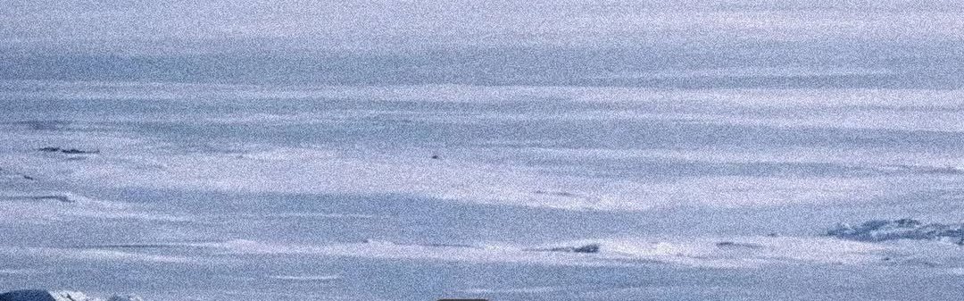 aestheticsguyy's tweet image. tap to see the full image