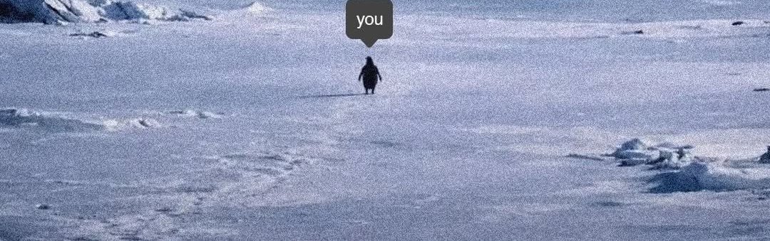 aestheticsguyy's tweet image. tap to see the full image