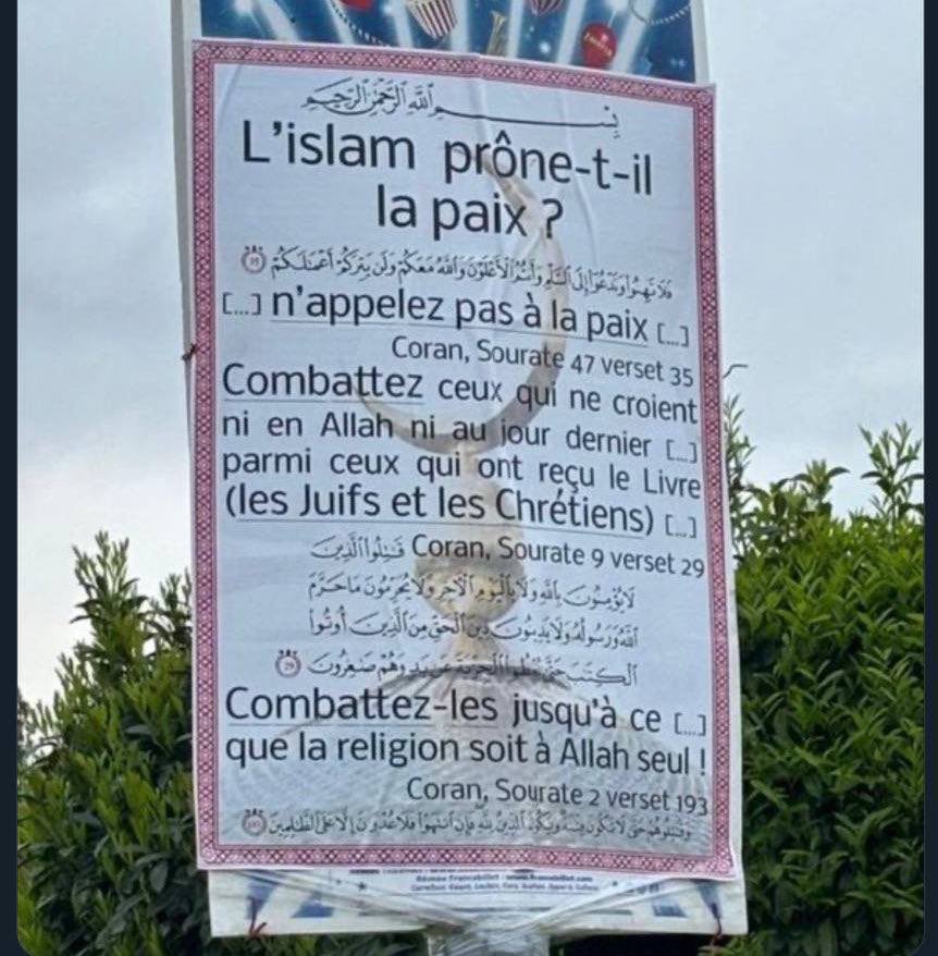 Damien Rieu tweet media