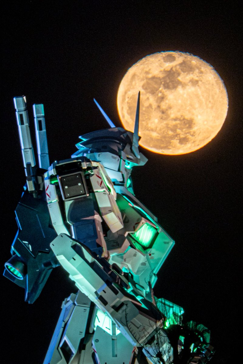 よっくん よっくん (@yoshi115t) / Posts / X