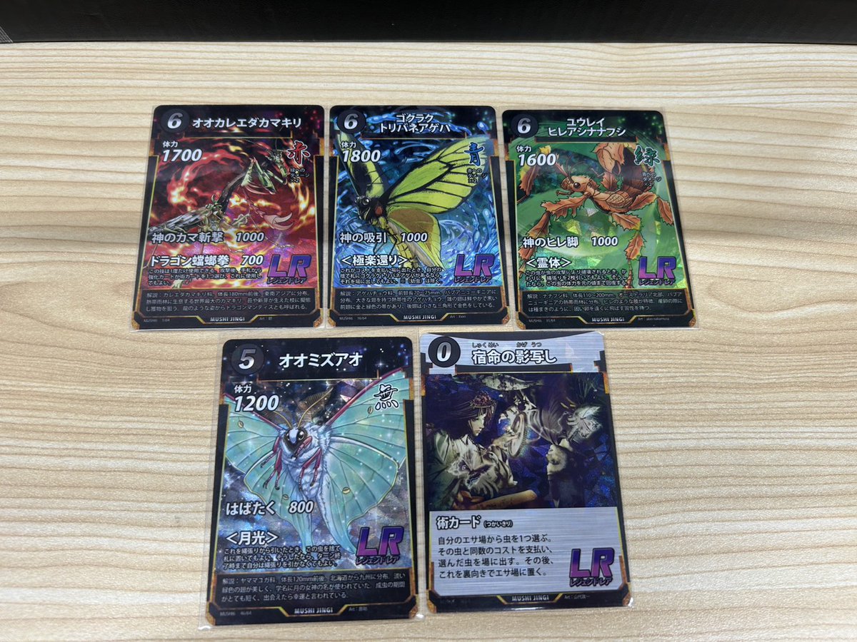 蟲神器6弾のLRが在庫補充されたので
通販サイトで販売しております。

shop.tcg-ajito.com

#カードショップアジト　#蟲神器