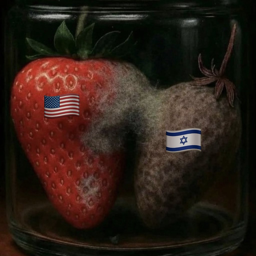 Closest ally 🫡