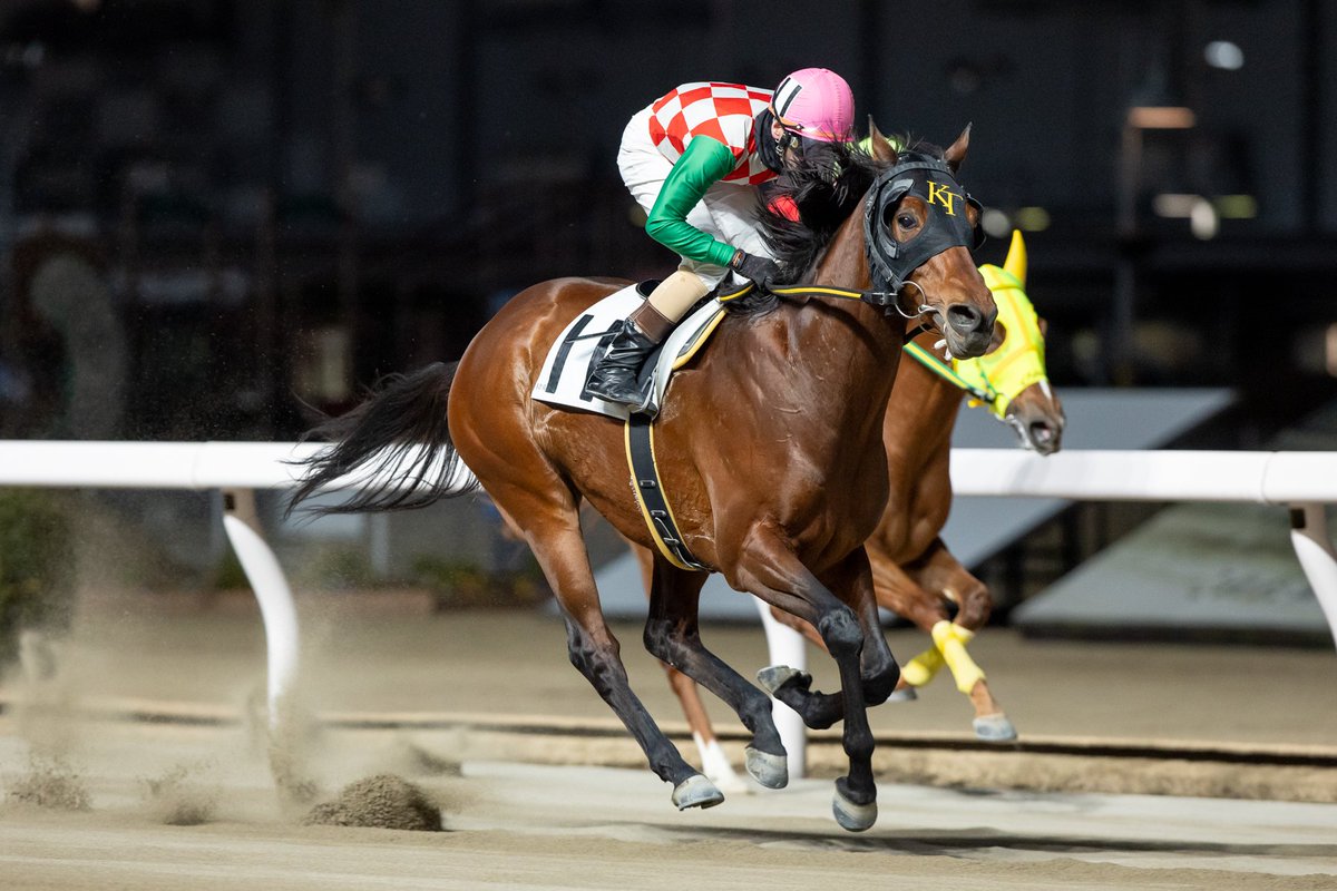 takatsukistable's tweet photo. 2/3(火)川崎10R（唯我独尊賞）で クリスタライズ が優勝しました。今回の勝因はブリンカーの着用ですね。追い切りから着用していい動きになったと思いましたが、ここまで変わってきたのは驚きですね。外枠もこの馬には、いい条件になりました。次走も期待しています。 #競馬 #川崎競馬 #高月厩舎 https://t.co/1TIQIO30jP
