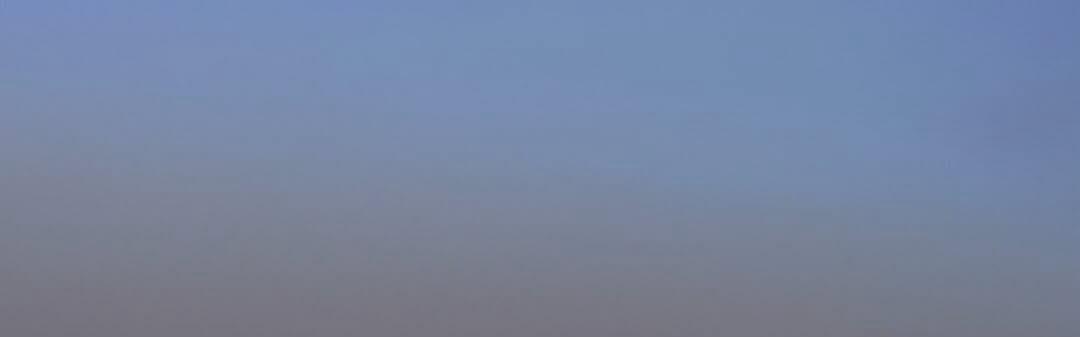 COMPETITION tweet media